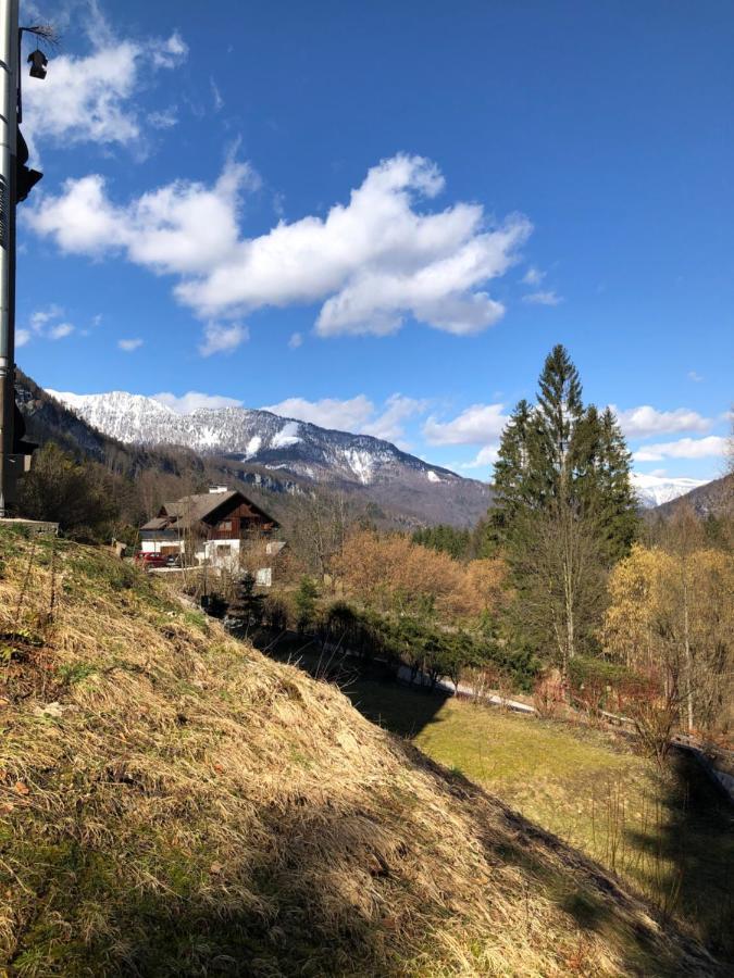 Apartment Goisernperle Bad Goisern Esterno foto